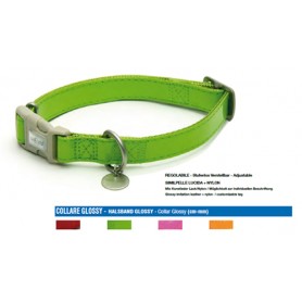 Collare Mylord Similpelle Lucido 20-30Cm Verde